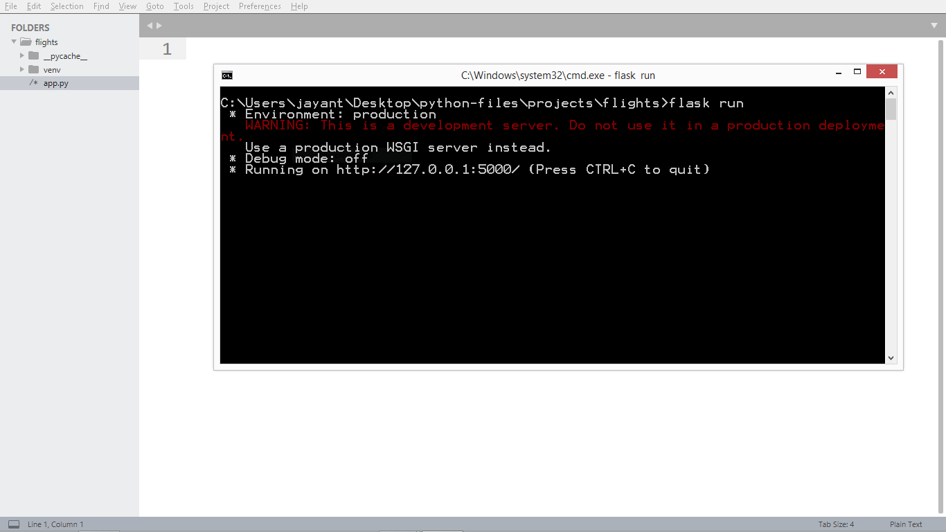 Image showing start of flask web server